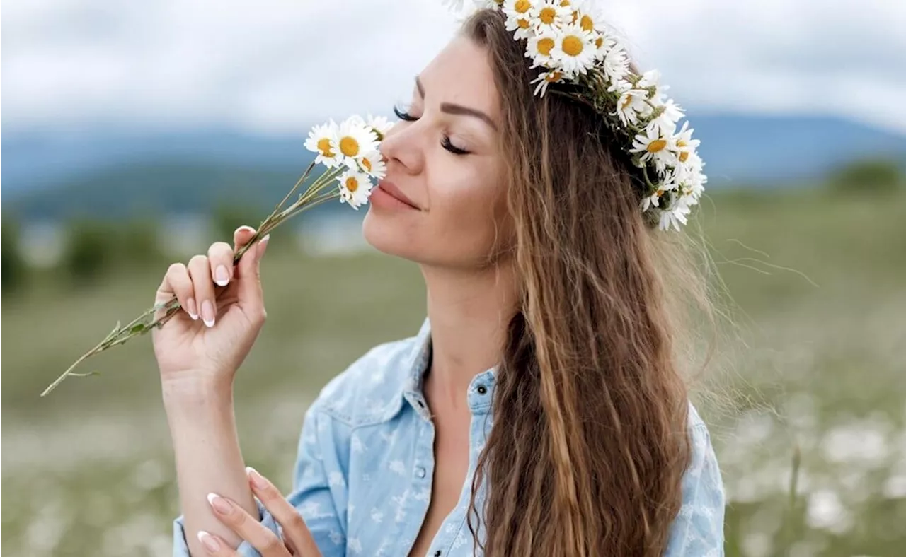 Descubre los beneficios de la manzanilla y el romero para tener un cabello sano