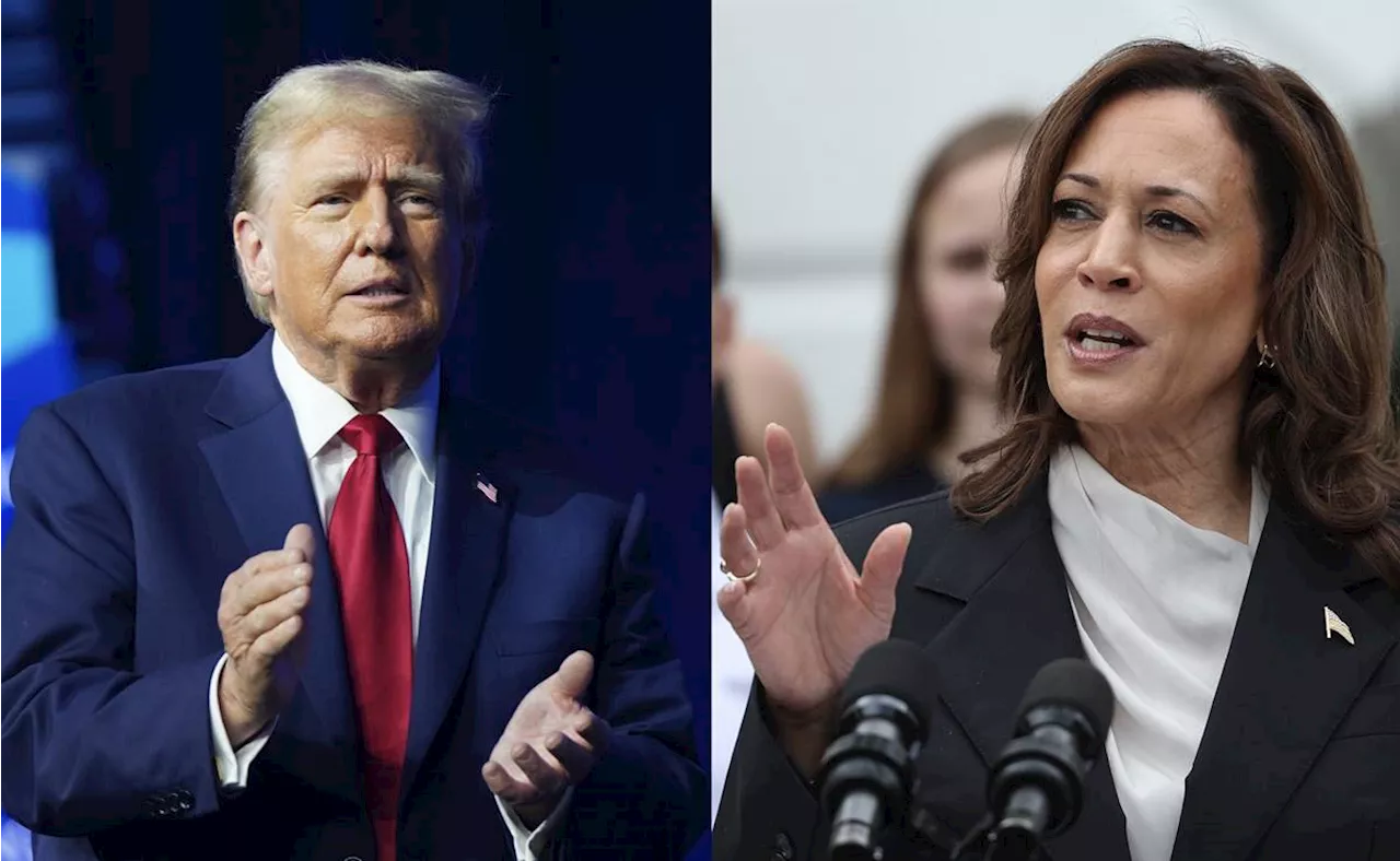 Kamala Harris lidera en encuestas; Donald Trump intensifica campaña electoral