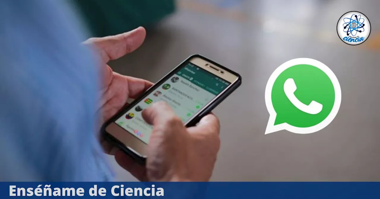 ¿Te llegó una oferta de empleo por WhatsApp? Así puedes identificar si es falsa