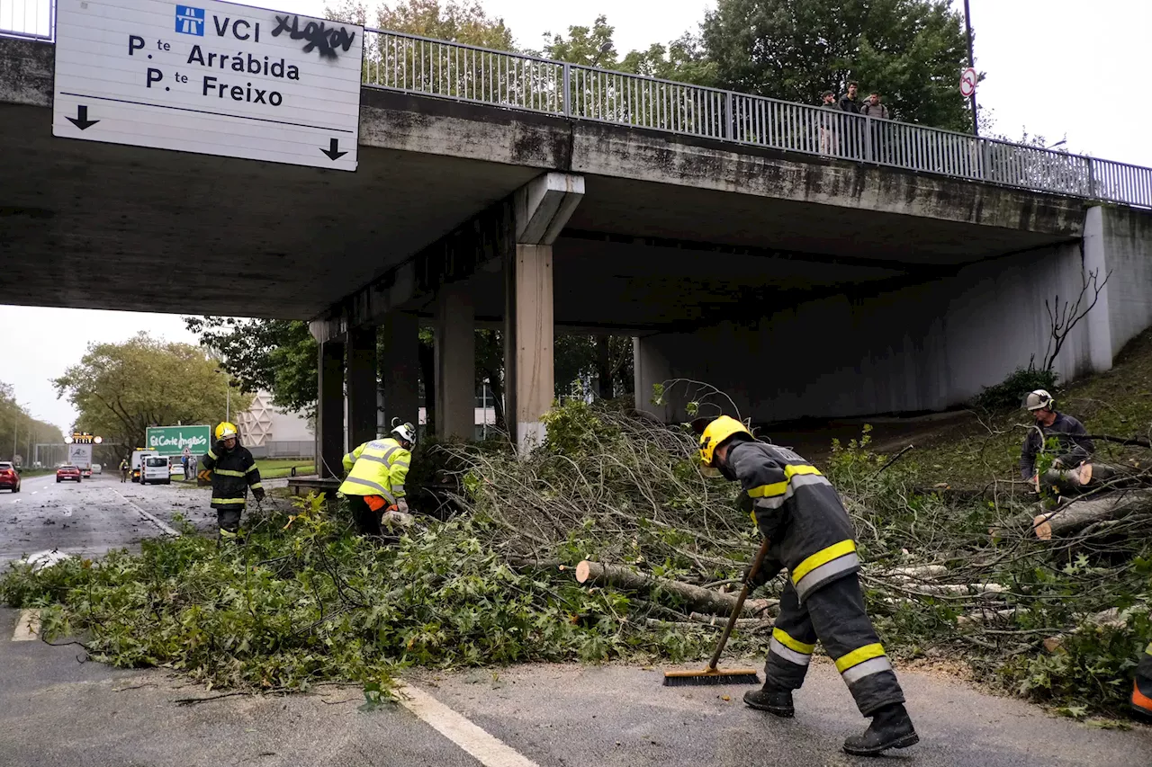 Tempestade Kirk: mais de 300 mil clientes sem energia, sobretudo no Norte