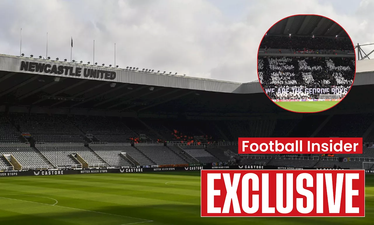 Keith Wyness shares ‘huge’ Newcastle stadium verdict after latest