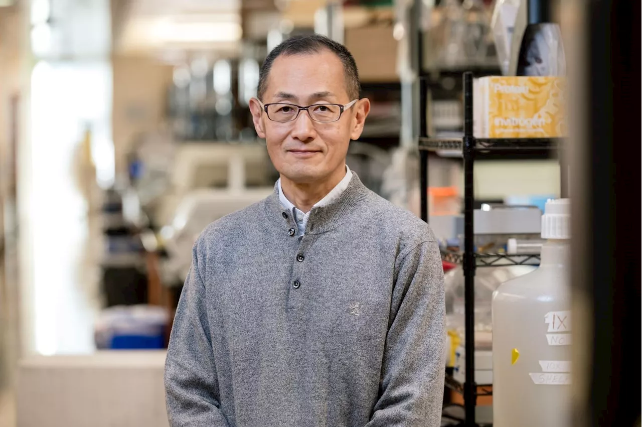 Nobel Winner Shinya Yamanaka: Cell Therapy “Very Promising” For Cancer, Parkinson’s, More