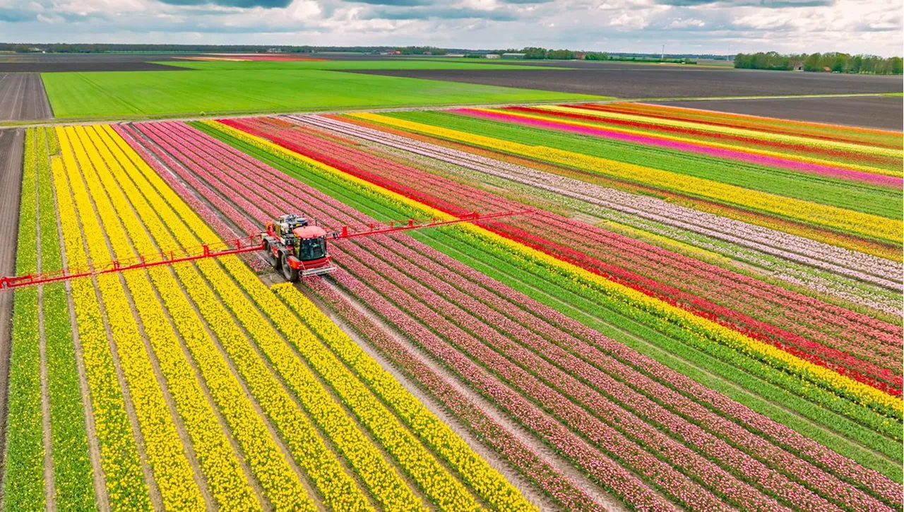 Absence de réglementation sur les pesticides dans les fleurs inquiète les parents d'une enfant décédée