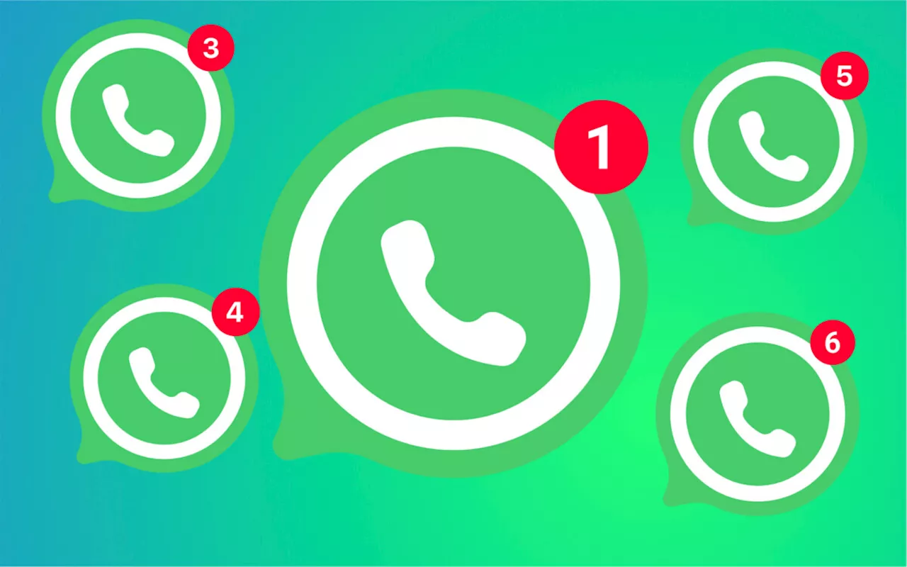 WhatsApp : les faux comptes vérifiés se multiplient, voici comment les reconnaître et vous protéger