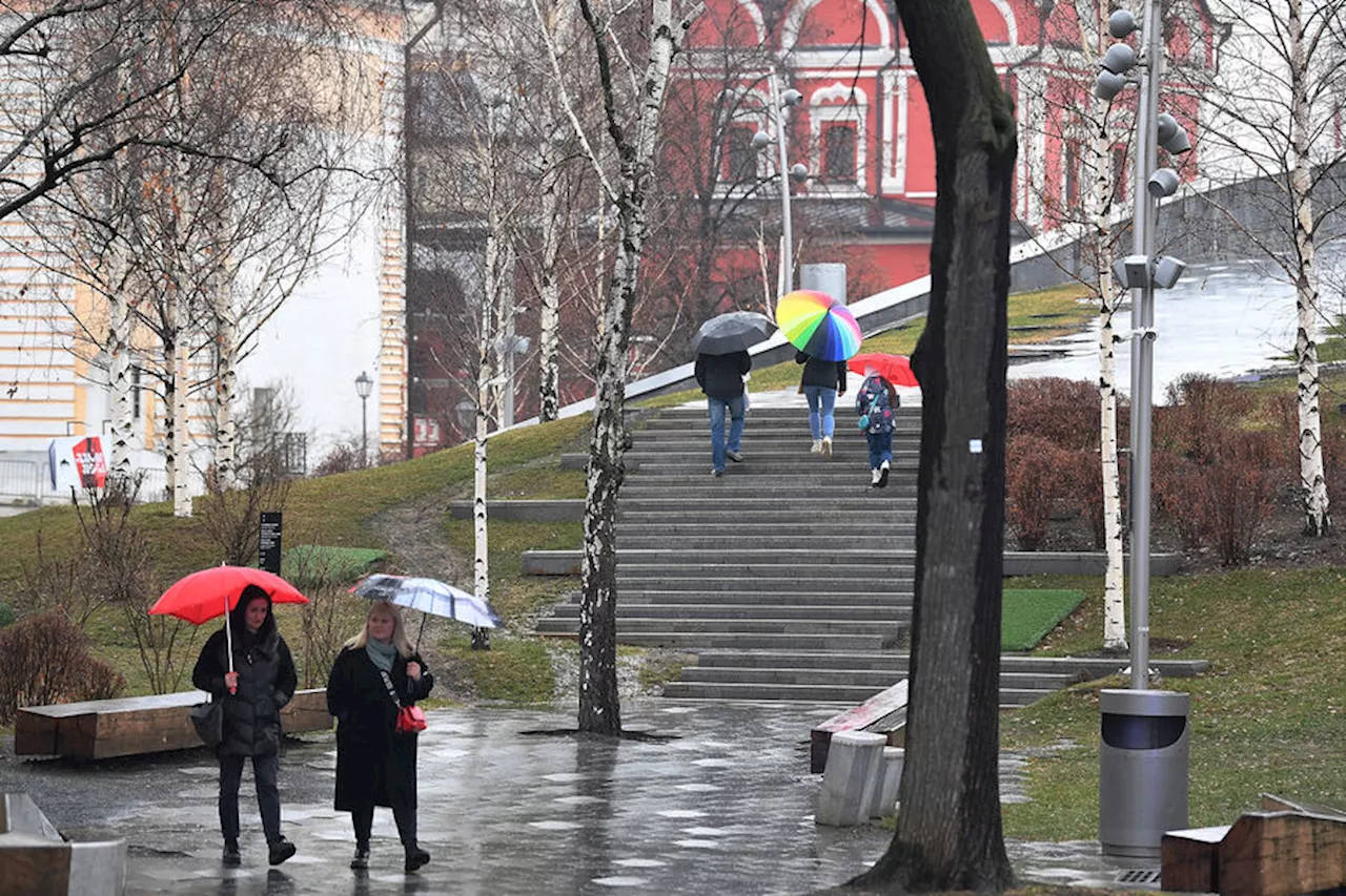 Обрушившийся на Москву Циклон накроет Тюмень