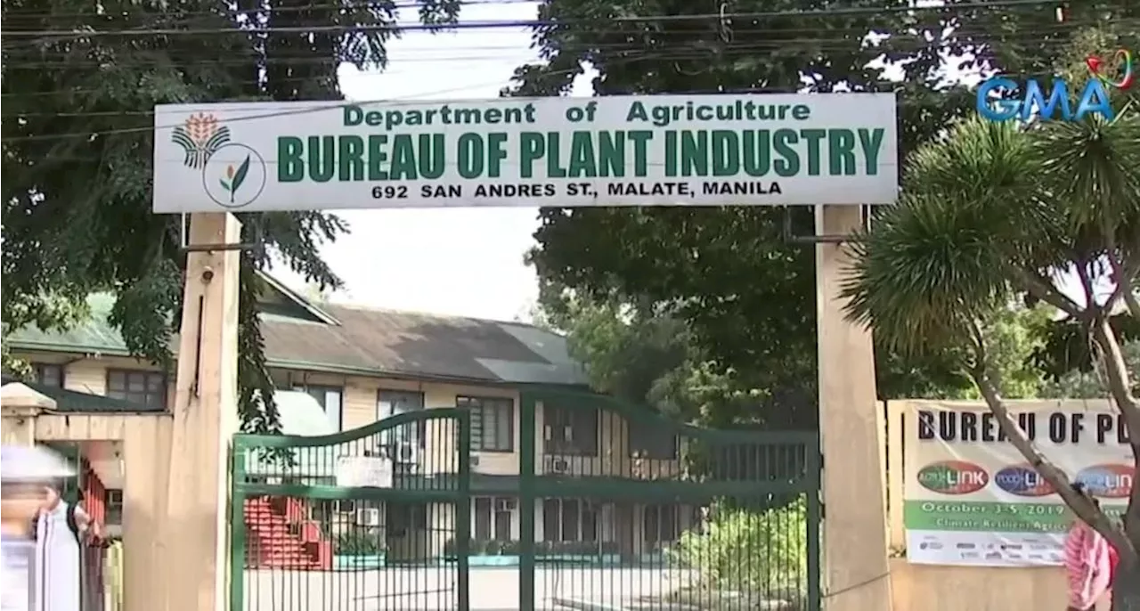 DA-BPI blacklists 3 agri importers