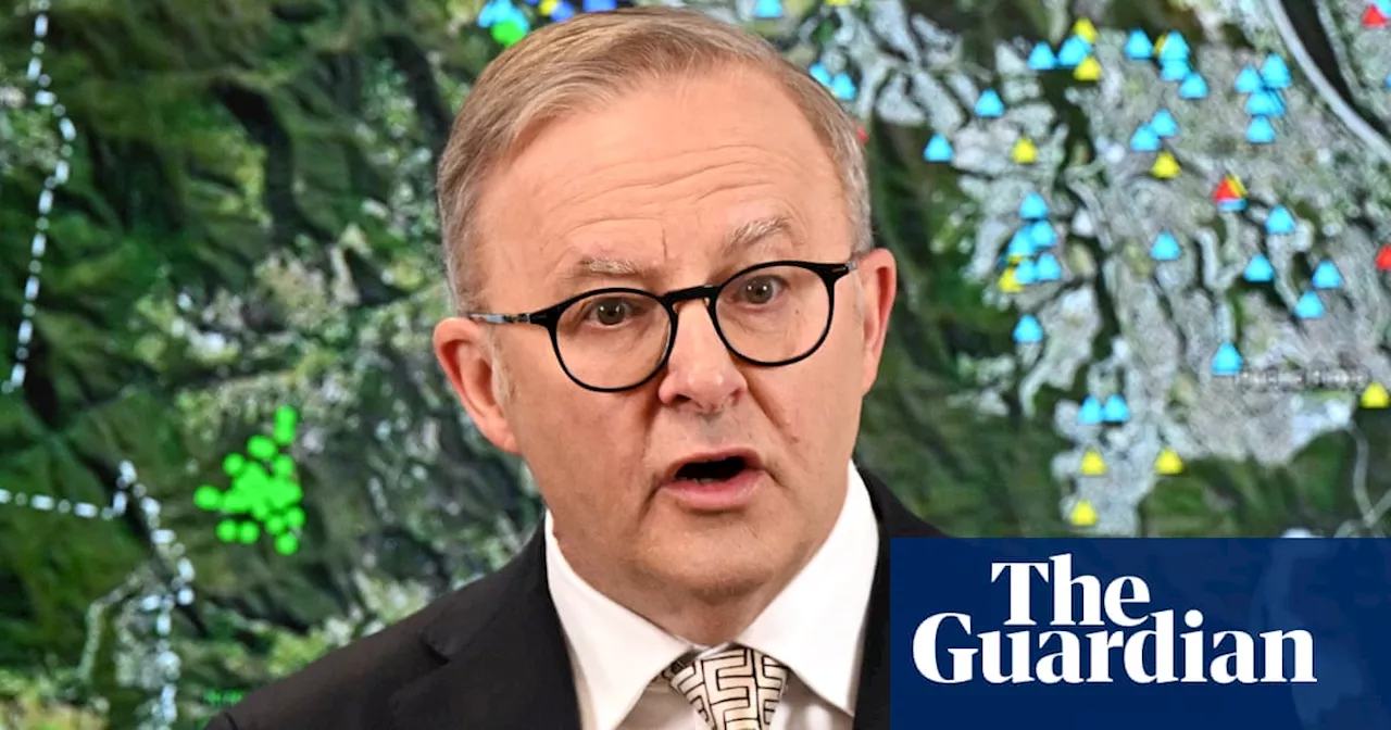 Nature groups in ‘dismay’ over Albanese’s leadership on ‘critical’ environmental reforms