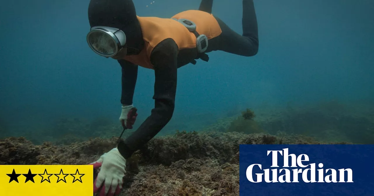 The Last of the Sea Women review – female Korean divers as picturesque eco-feminist tradition