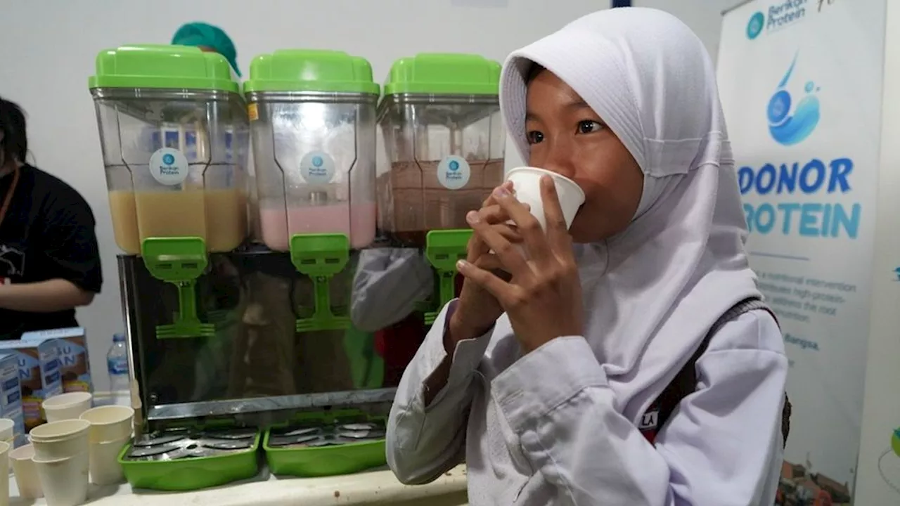 Bubuk ”Susu” Ikan, Alternatif Sumber Protein Lokal