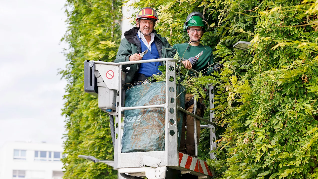 Ausbildung zum Klimagärtner - Wiens grüne Helden – Neuer Lehrberuf startet durch