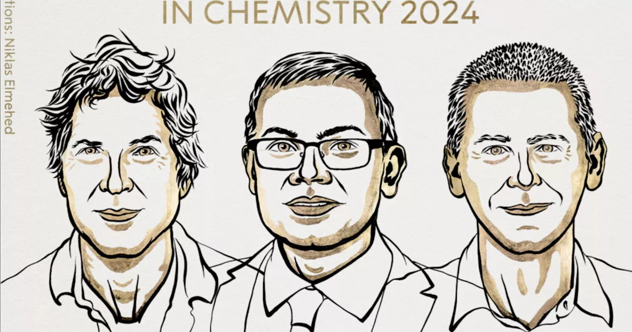 I tre Nobel per la chimica 2024 e la rivoluzione nella progettazione delle proteine