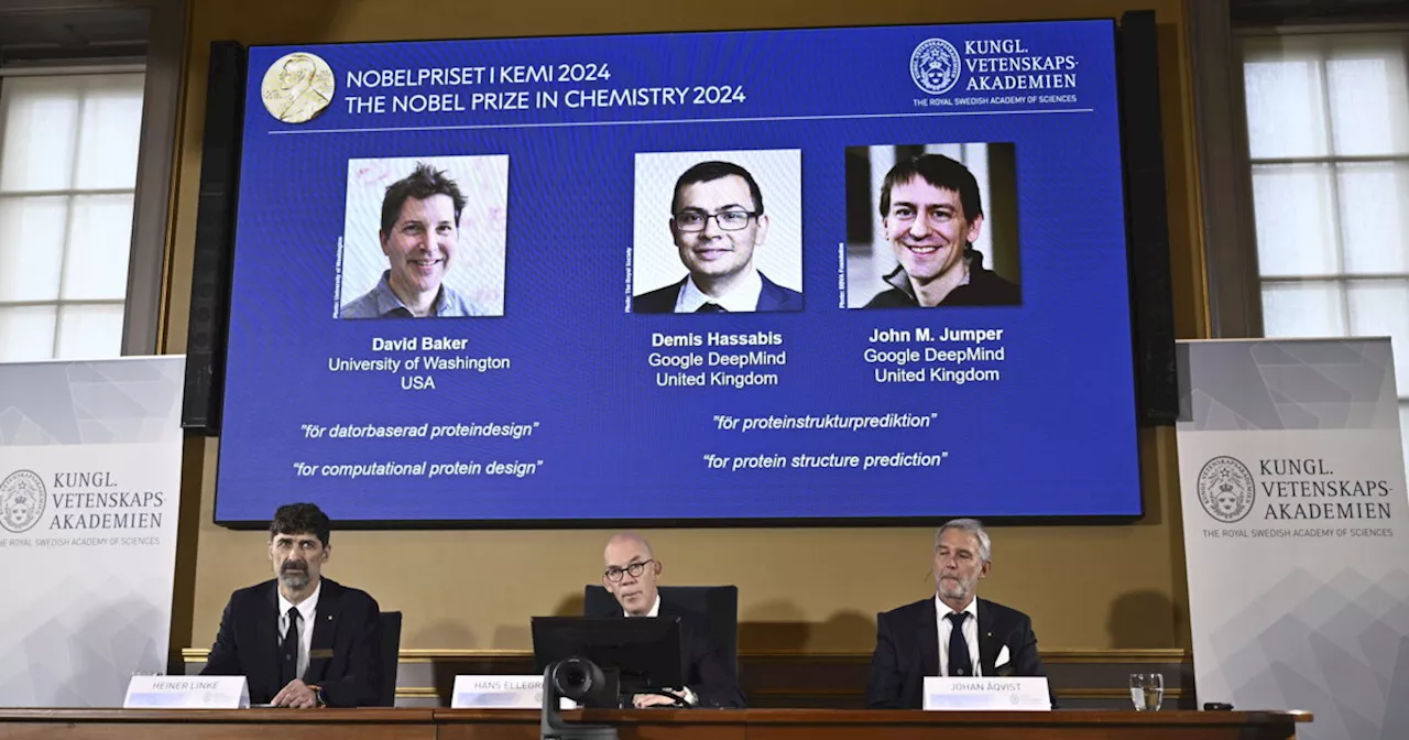 Il Nobel per la Chimica va a David Baker, Demis Hassabis e John M. Jumper per le scoperte sulle proteine