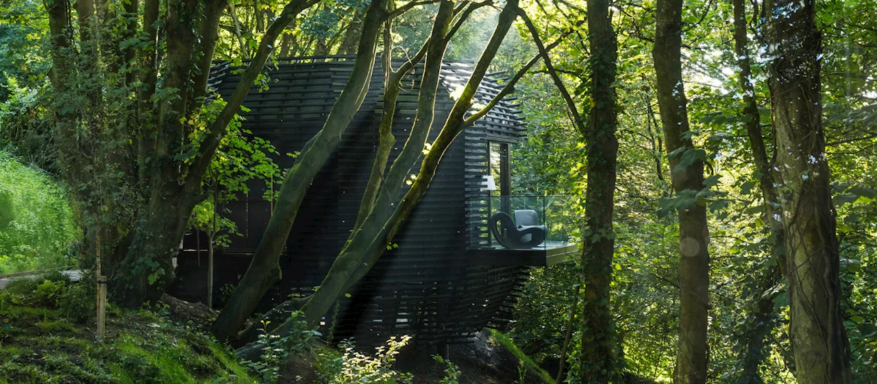 A nature retreat in the heart of Cork city, this cabin in the woods epitomises luxury