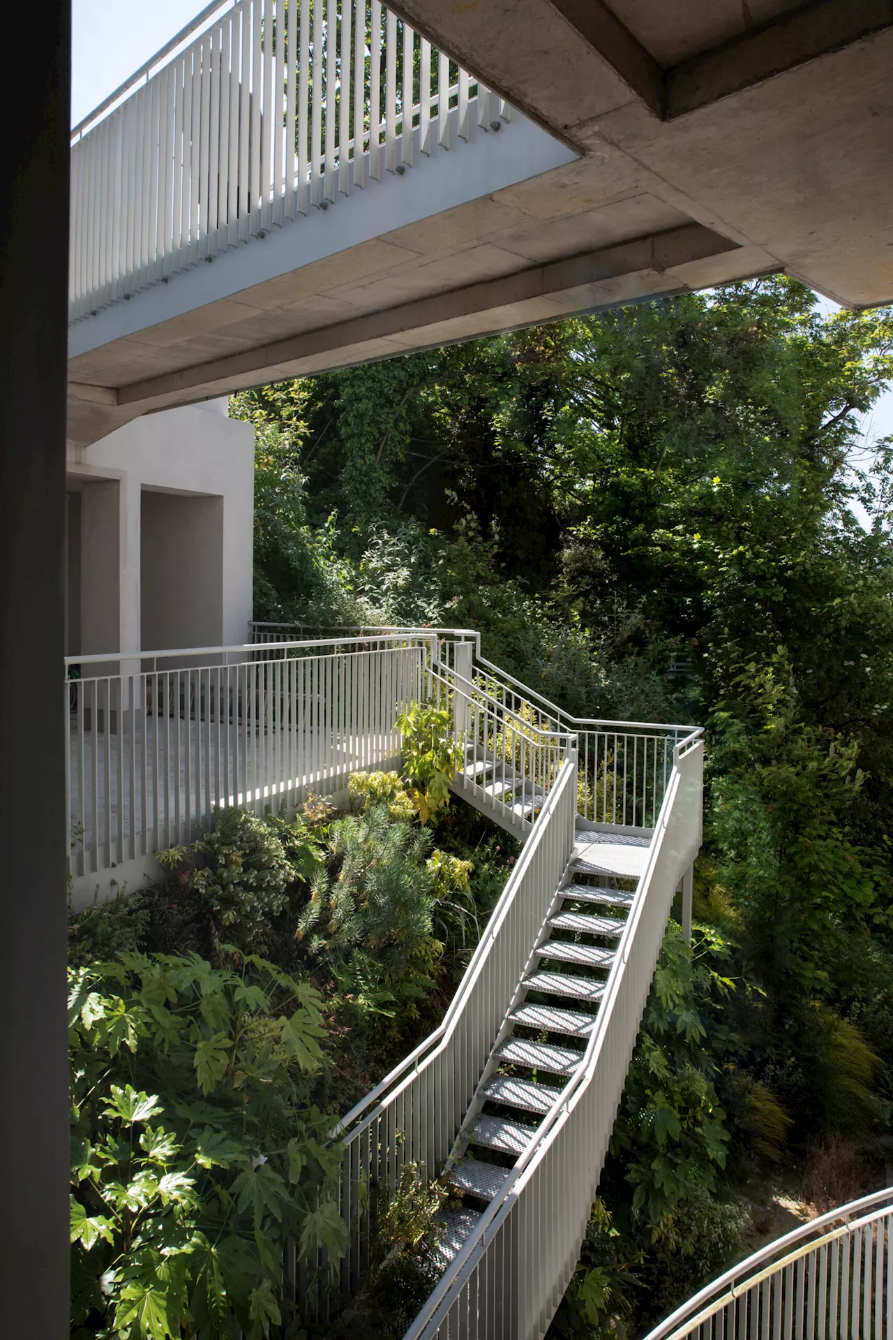 This seaside Dublin home makes the most of its unique shape