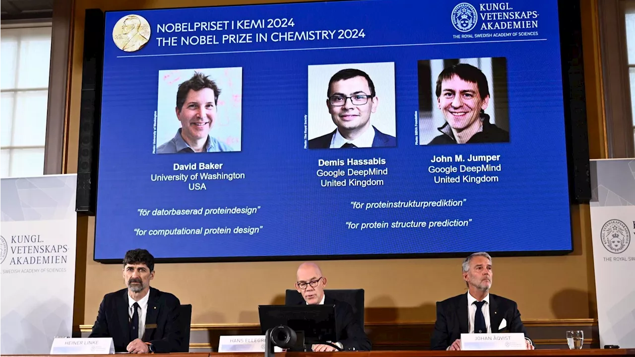 Premio Nobel de Química 2024: David Baker, Demis Hassabis y John M Jumper