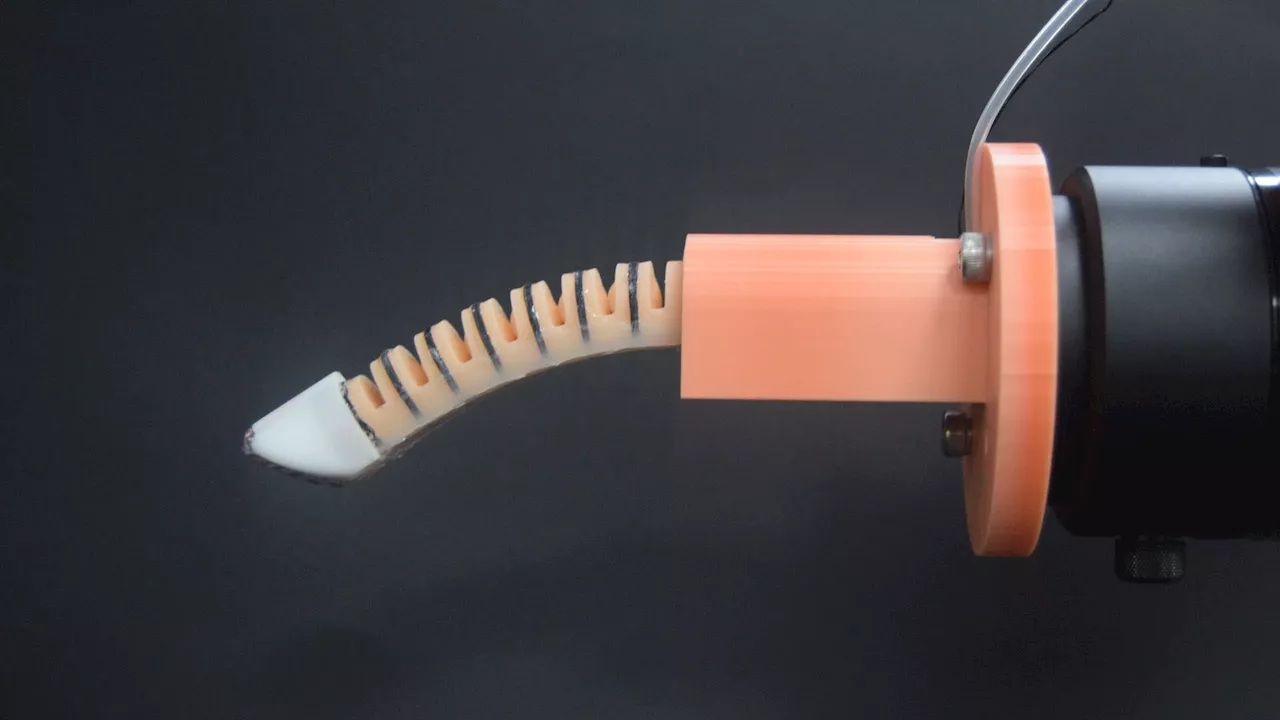New robotic finger boosts early cancer detection, less uncomfortable exams