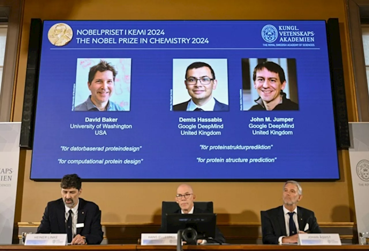 Il Nobel per la chimica assegnato a David Baker, Demis Hassabis e John Jumper