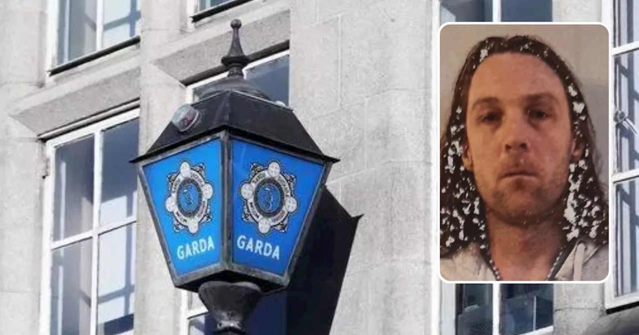 Gardai and family 'concerned for wellbeing' of missing Dublin man