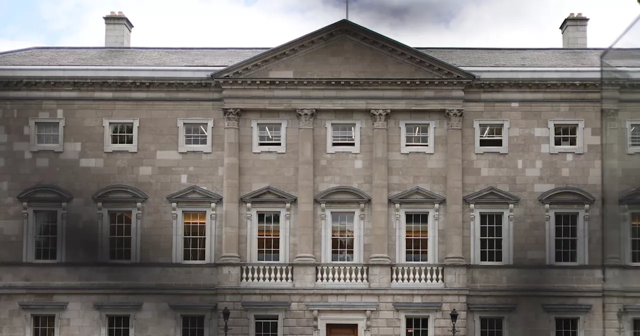 Leinster House fobs for expenses lost or broken 148 times by TD and Senators