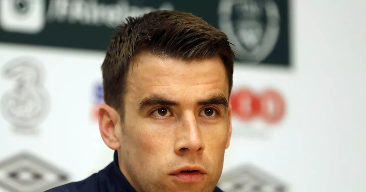 Presidential award for footballer Seamus Coleman, designer Orla Kiely and playwright Rosalind Scanlon