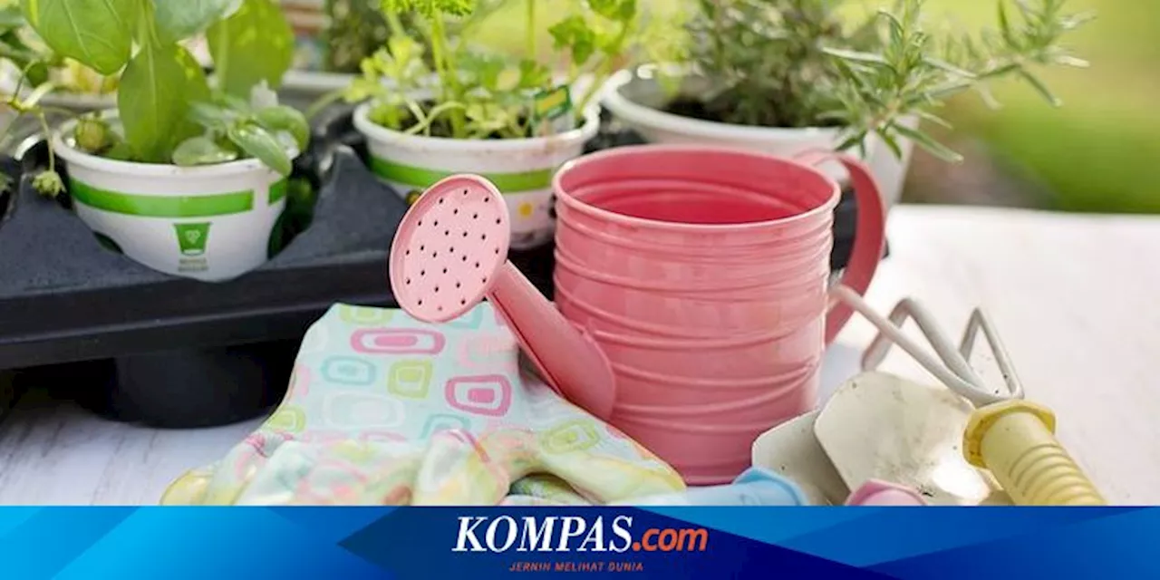 5 Kesalahan Berkebun yang Sering Dilakukan Pemula