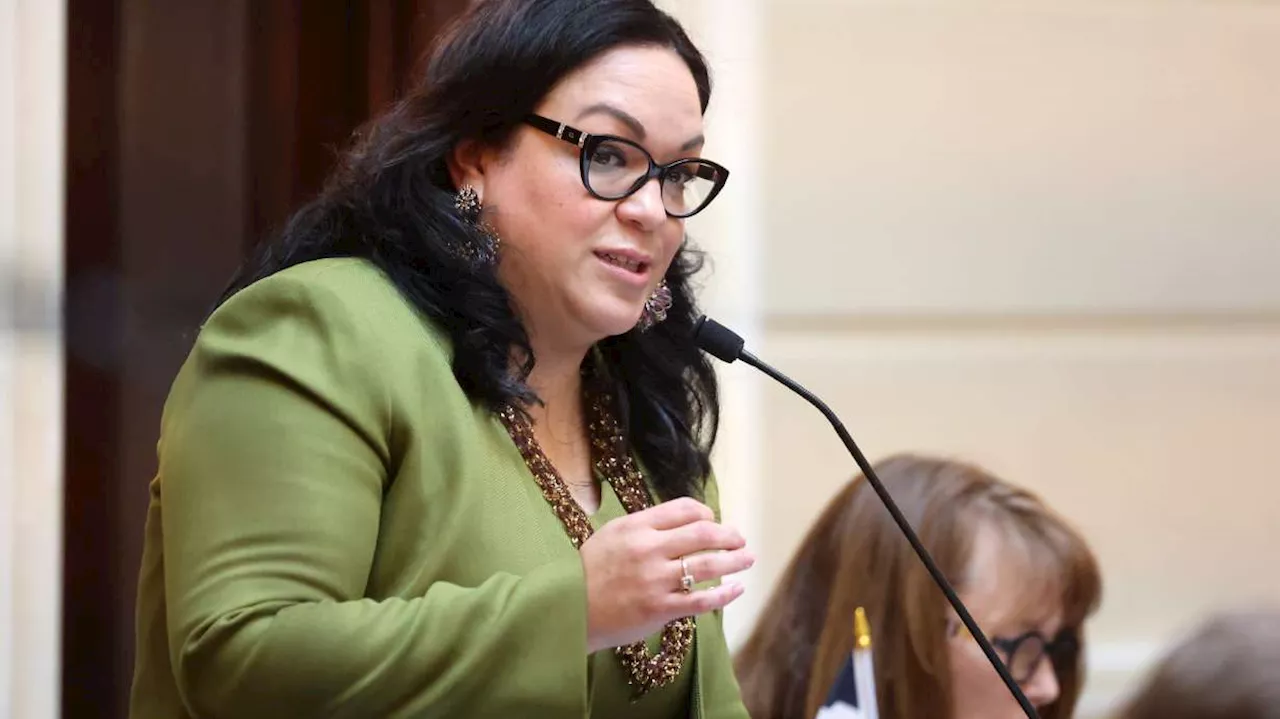 State Sen. Luz Escamilla honored by Utah Democratic Party with leadership award