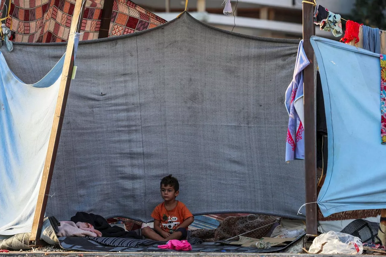 Conflit au Proche-Orient : « Chacun possède un cœur capable de porter toute l’humanité »