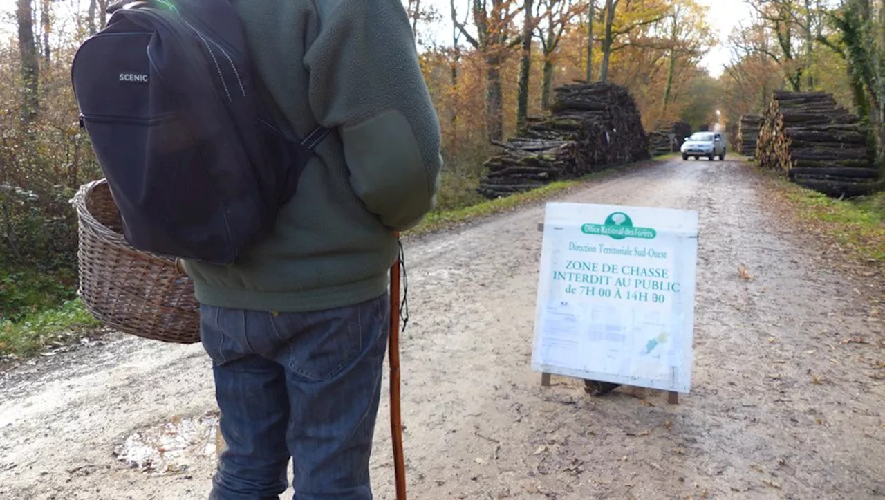 Chasse à Bouconne, accès réglementé à la Forêt