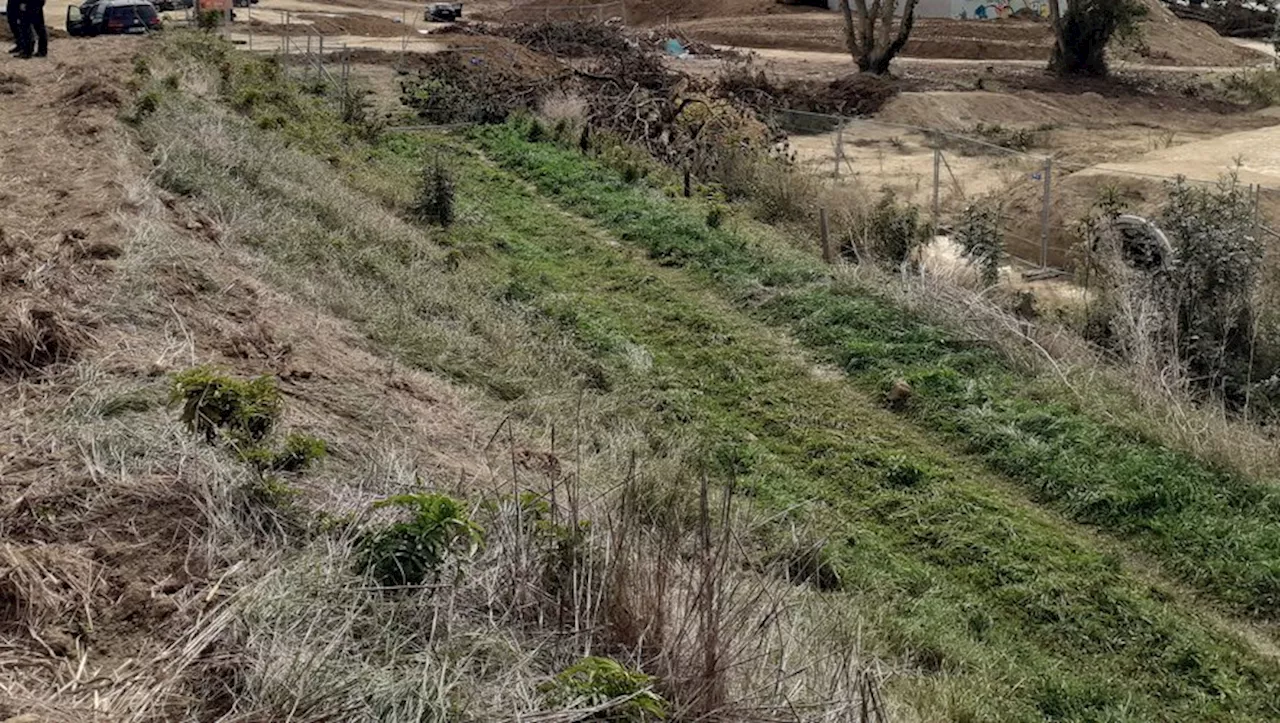 Verfeil. Ce qu’il reste de la Zad avant l’intervention finale