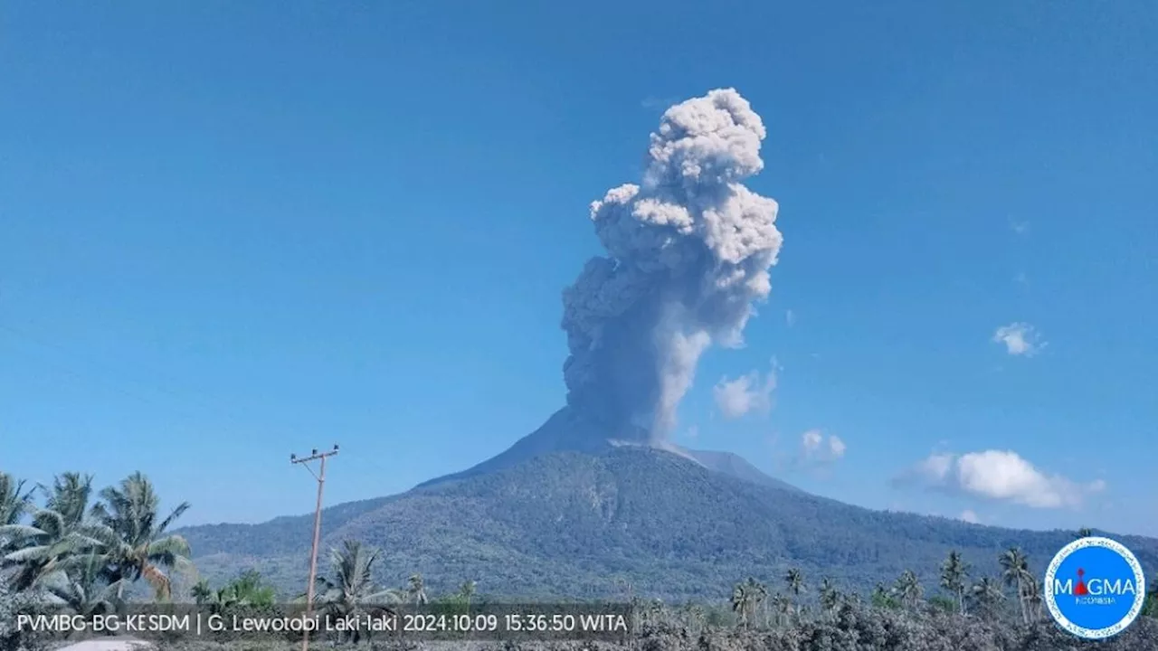 Gunung Lewotobi Laki-Laki Meletus Lagi, Semburkan Abu Vulkanik 1.000 Meter ke Arah Barat Daya