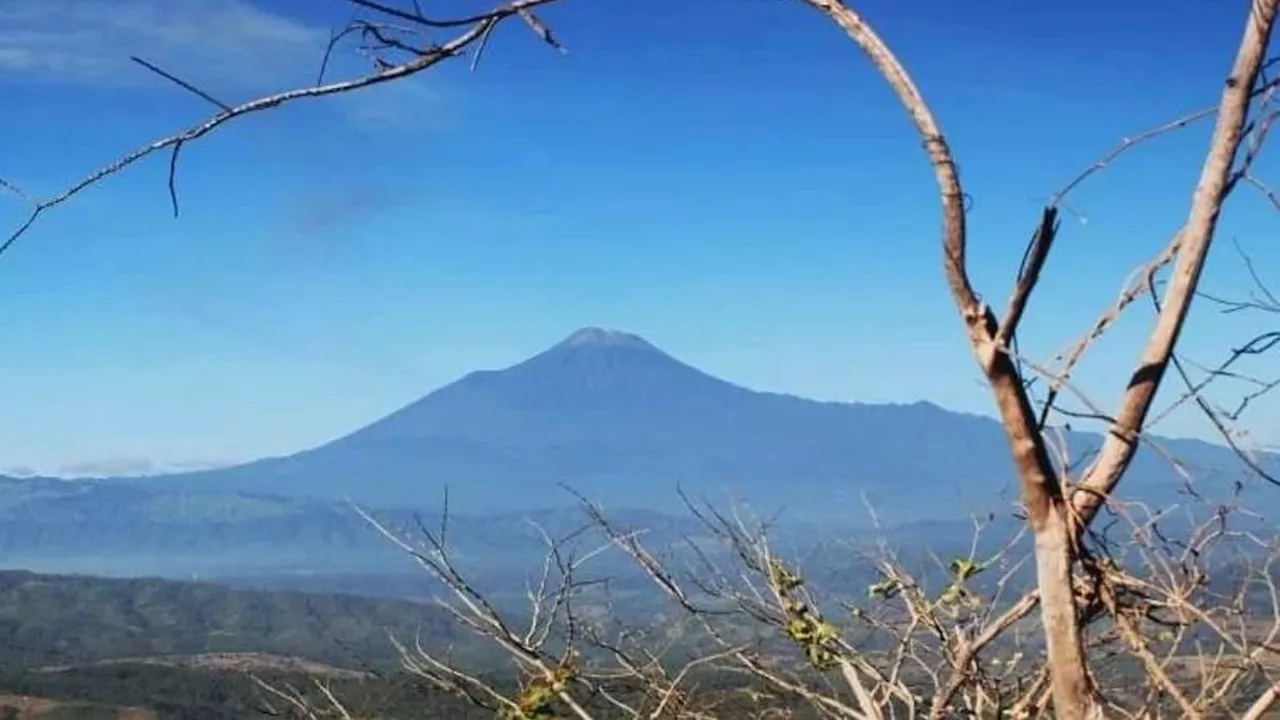 Kisah Naomi Daviola, Siswi SMK yang Sempat Dilaporkan Hilang di Gunung Slamet