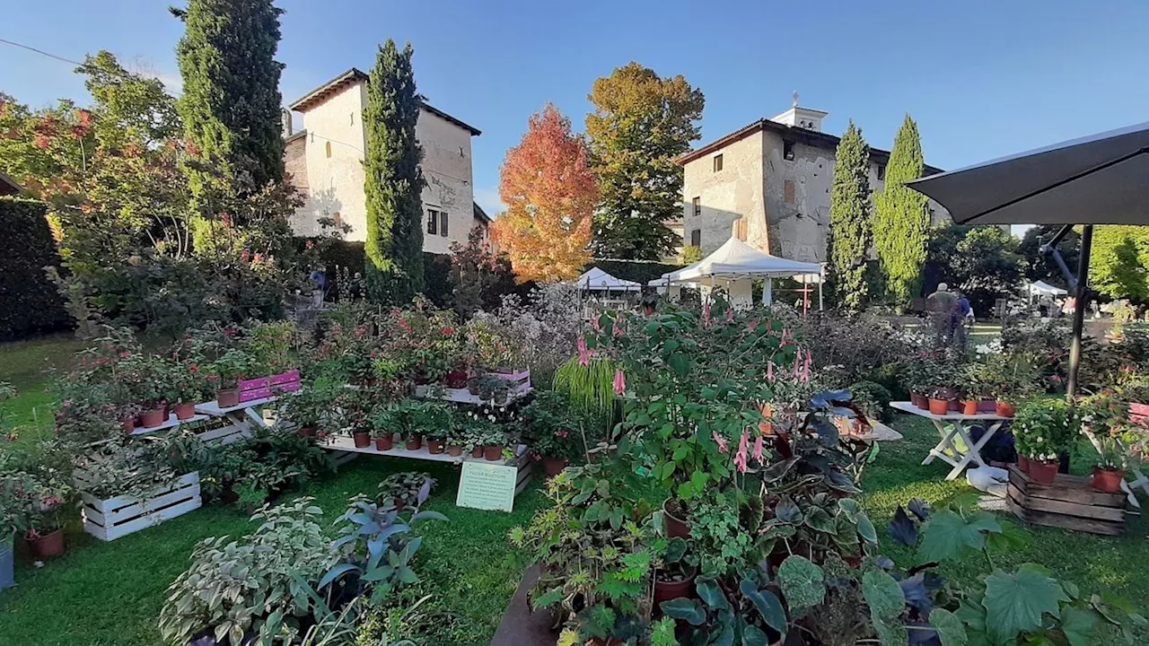 Friuli: Magici Intrecci Autunnali al Castello di Strassoldo