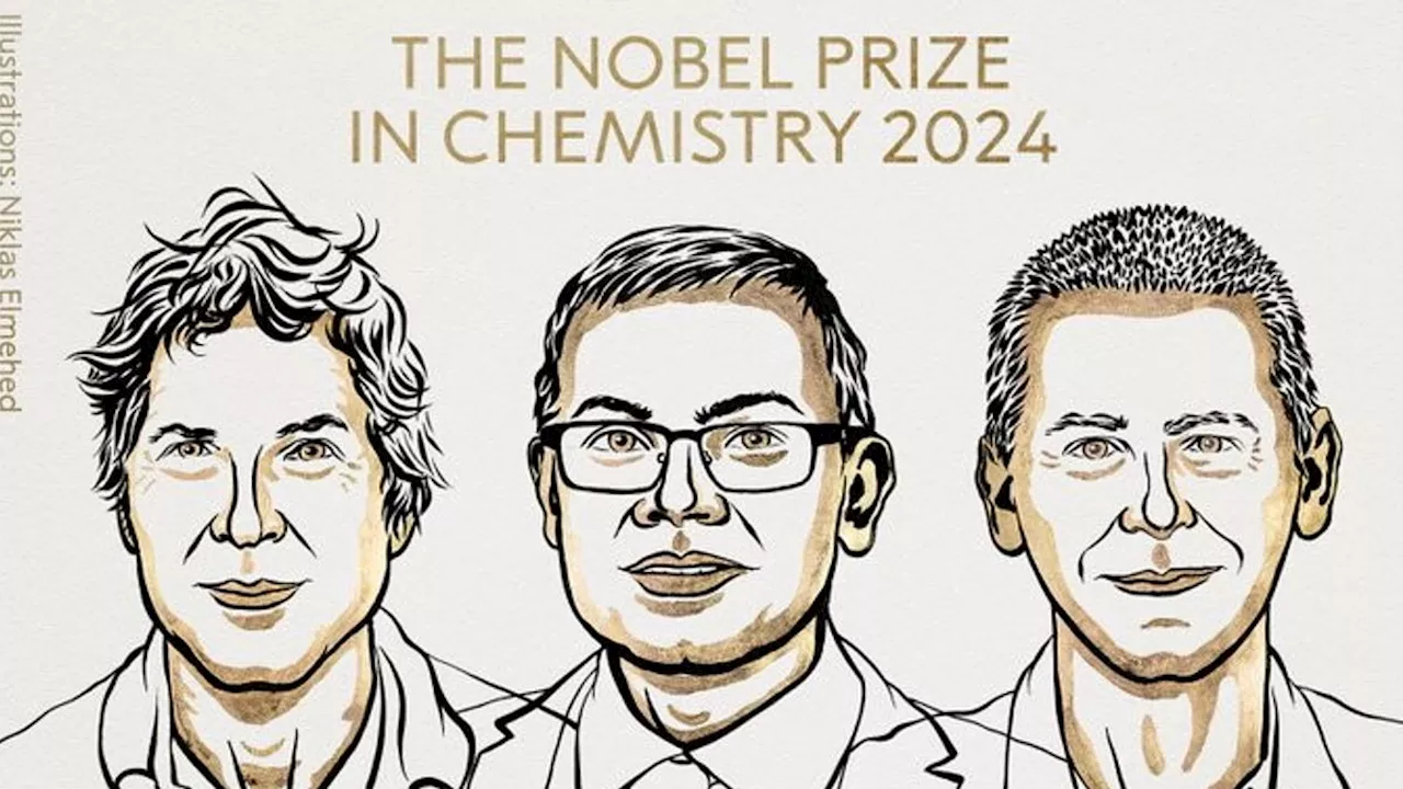 Il Premio Nobel per la Chimica 2024 è stato assegnato a Davide Baker, Damis Hassabis e John M. Jumper