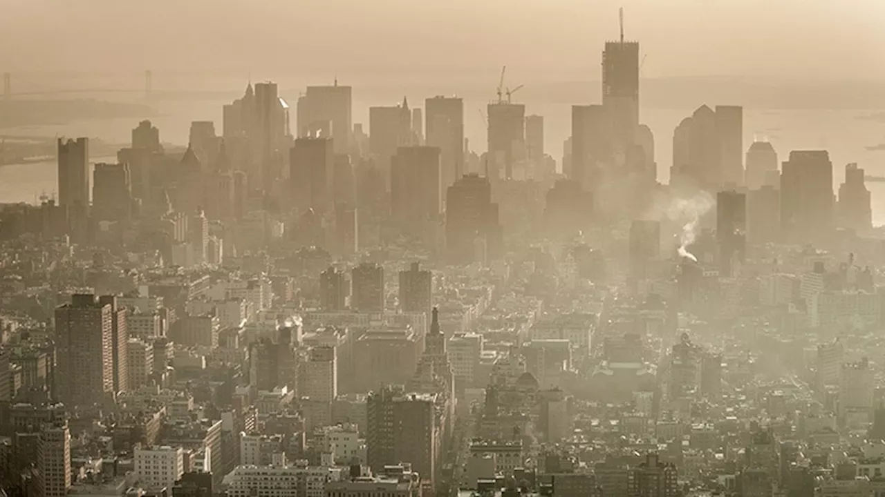 Air Pollution Exposure and Risk for Parkinson's Disease and Dyskinesia: New Data