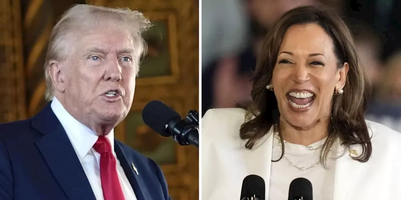 Kamala Harris holt auf - Neuere Umfragen sehen sie vor Trump