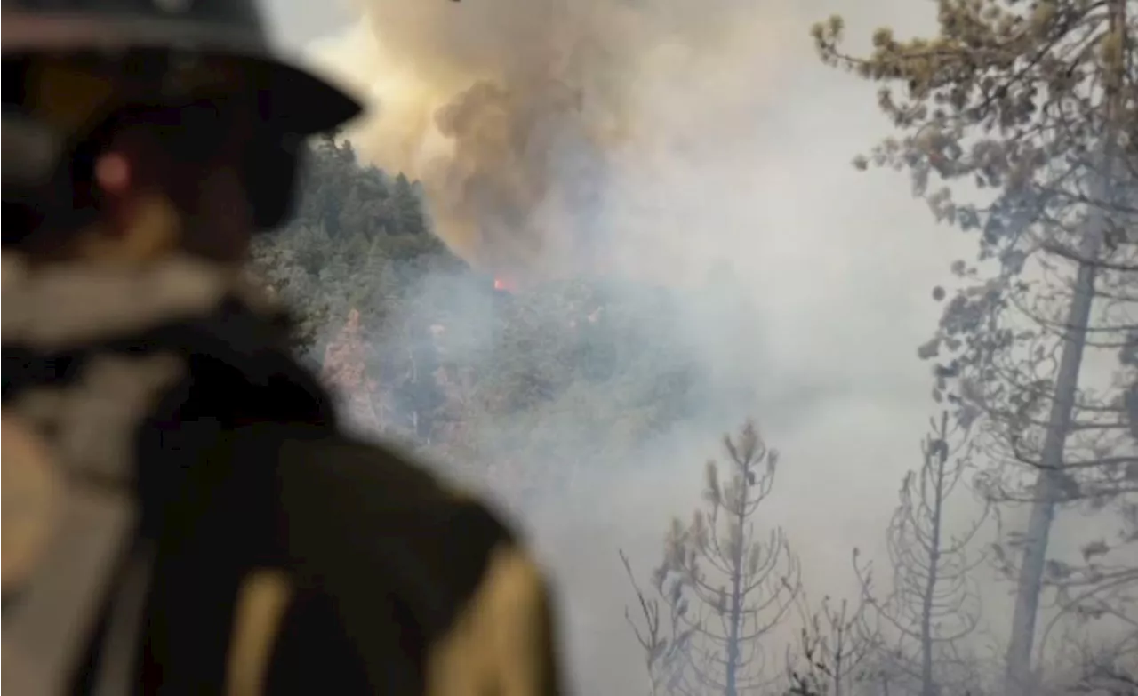 Angelus Oaks begins recovery as Line Fire nears full containment