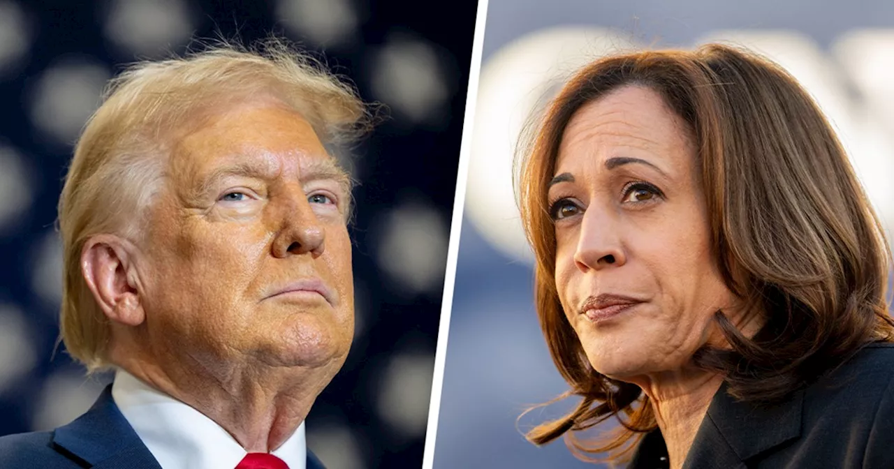 Election 2024 live updates: Trump rallies in Pennsylvania; Harris gets Hurricane Milton briefing