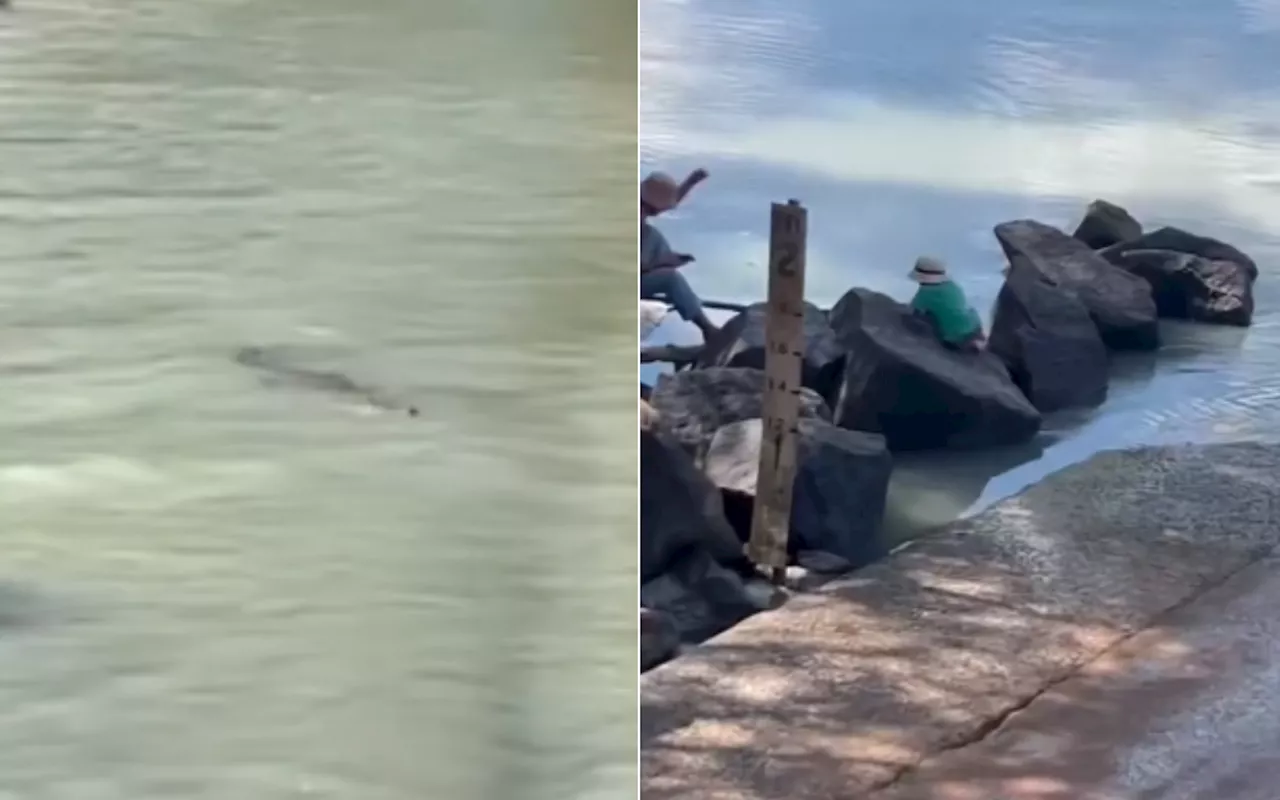 Chilling Video Shows Kids Playing by River Full of Crocodiles: 'Reckless'