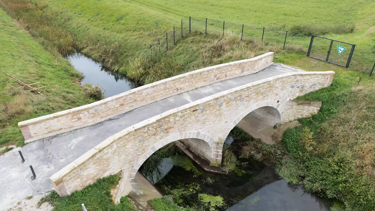 Neues Schwarzbuch erschienen: Brücke ins Nichts und teures WC - Lobbyverein prangert Verschwendung an