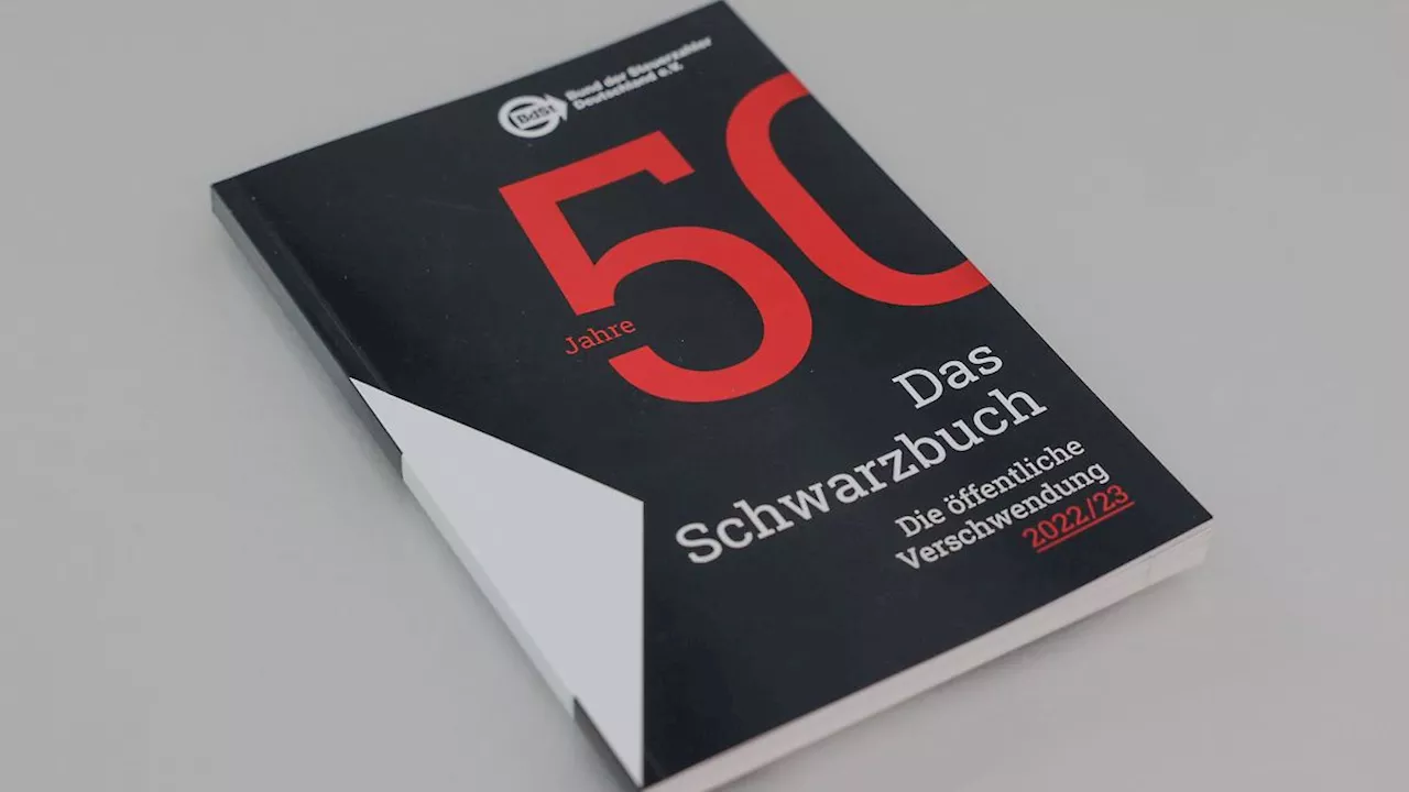 Rheinland-Pfalz & Saarland: Steuergeld verschwendet? - Schwarzbuch wird vorgestellt