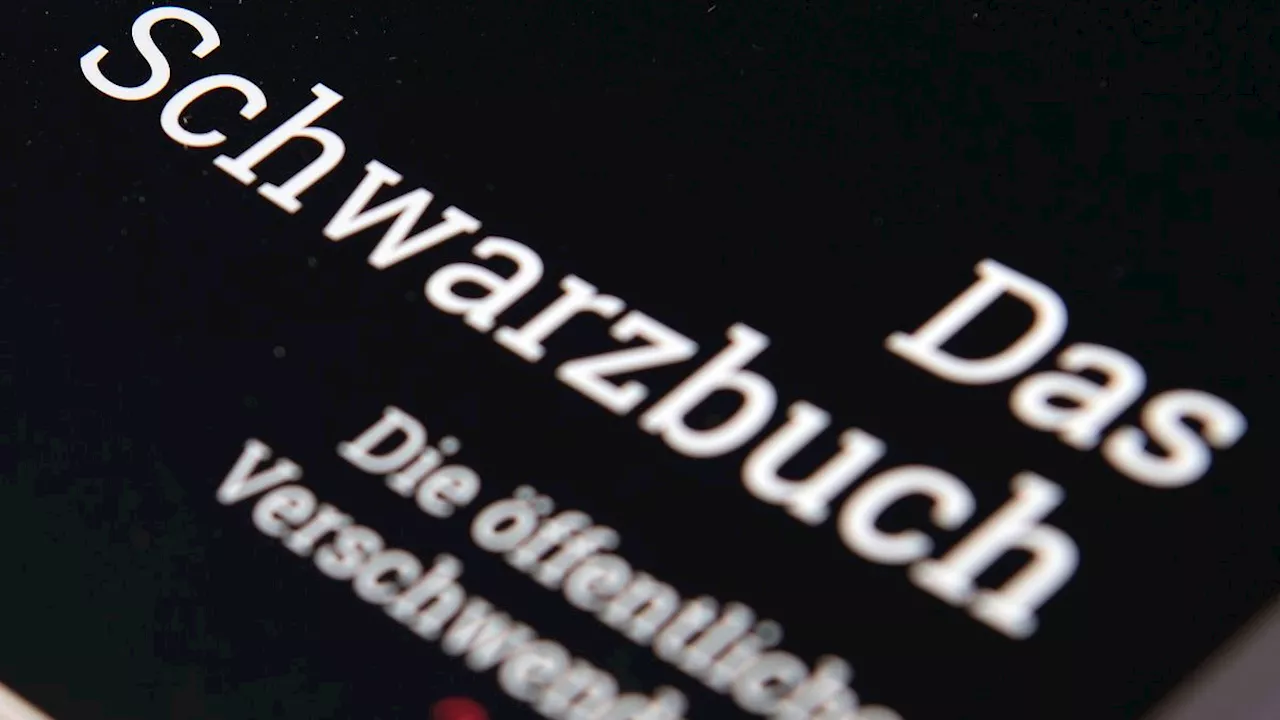 Rheinland-Pfalz & Saarland: Steuerzahler kritisieren drei Fälle in Rheinland-Pfalz