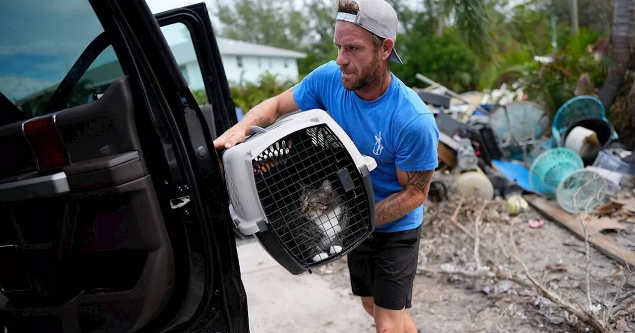 Florida rüstet sich für «Milton» - Biden ändert Reisepläne