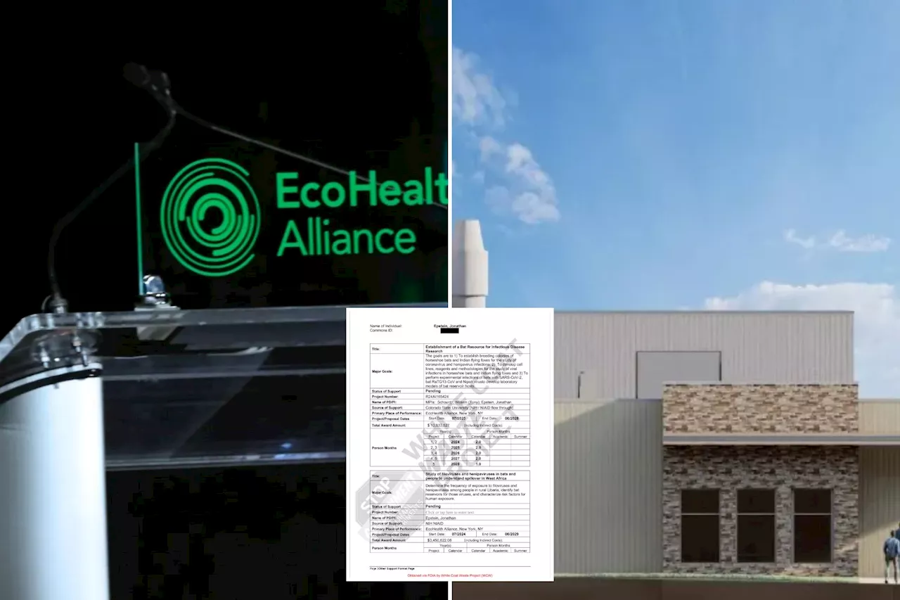 EcoHealth Alliance had 'pending' $4M grants to study Marburg, other viruses before federal suspension