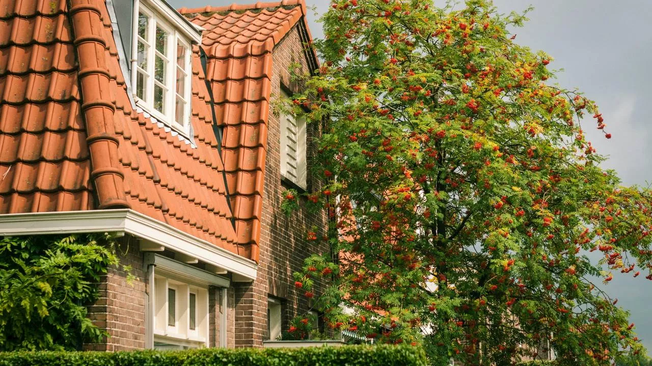 Zo verdien je geld met de verhuur van je huis of tuin