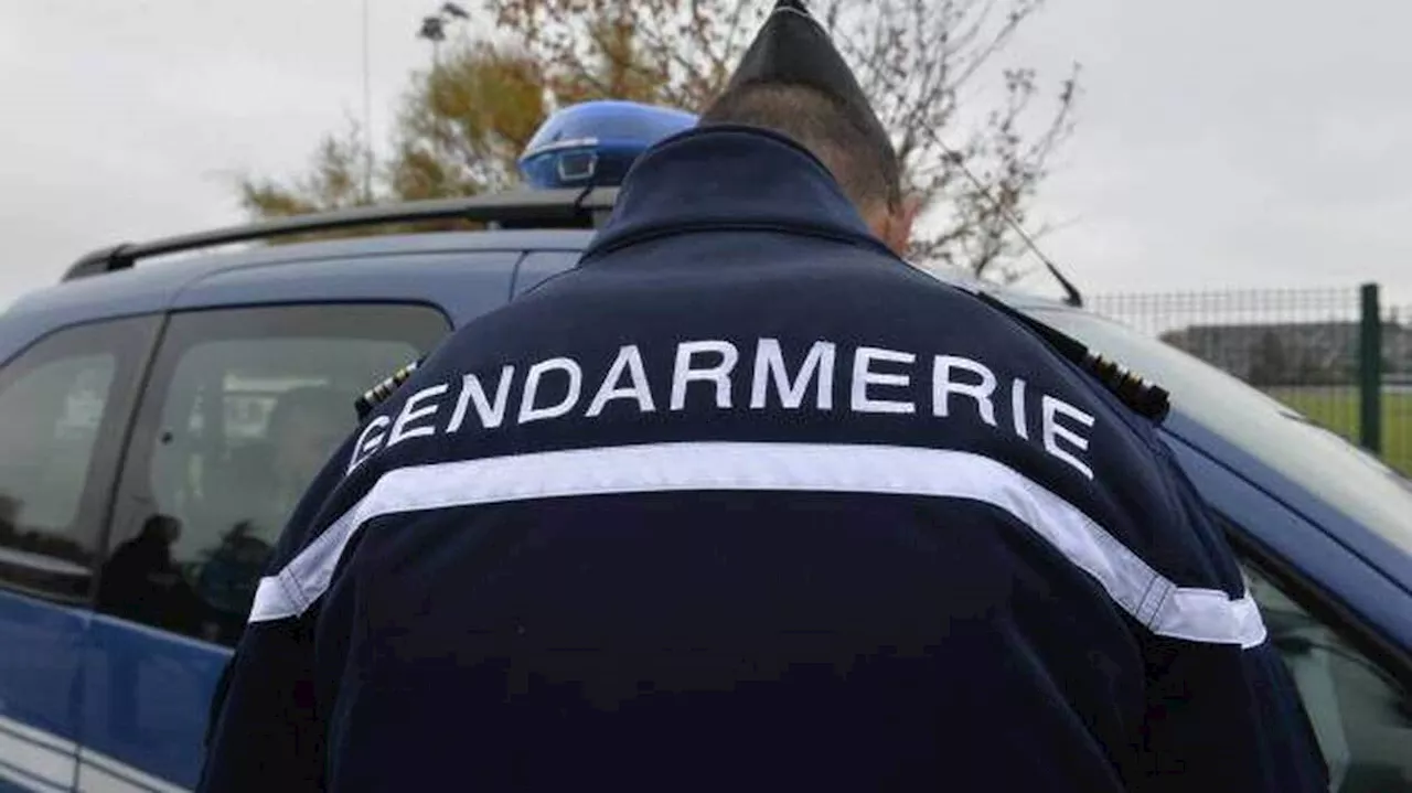 Pyrénées-Atlantiques : un retraité arrêté ivre au volant de sa voiturette, pour la huitième fois