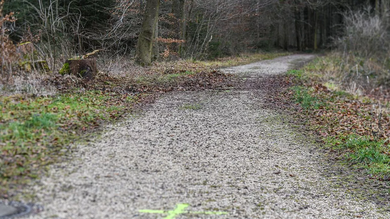 Ulm: Teenager (15) tötet gleichaltrige Freundin im Wald – sechs Jahre und sechs Monate Haft!