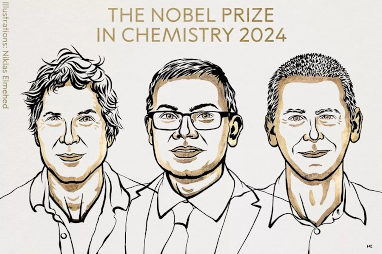 Nobel de chimie 2024 : David Baker, Demis Hassabis et John M. Jumper sacrés