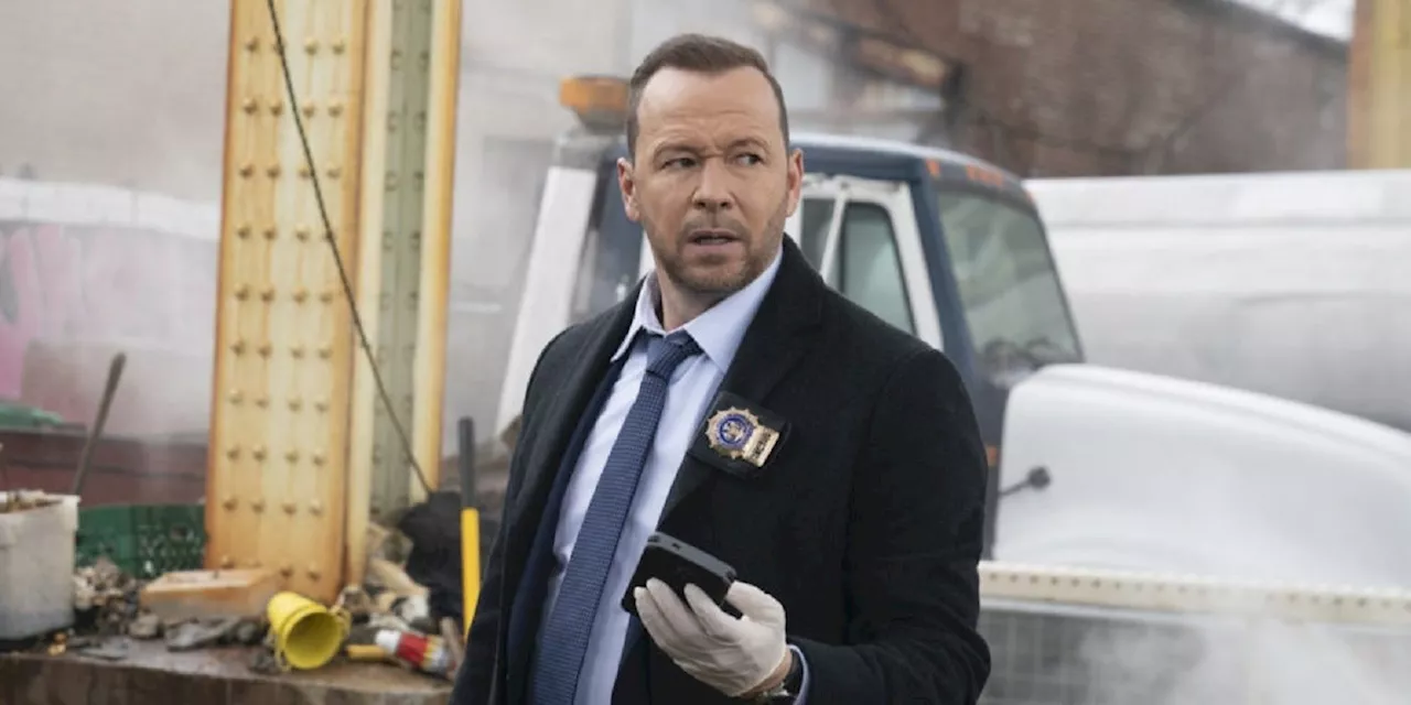 Blue Bloods' Danny Should End Up With Baez (Even Though He Doesn't Deserve Her)