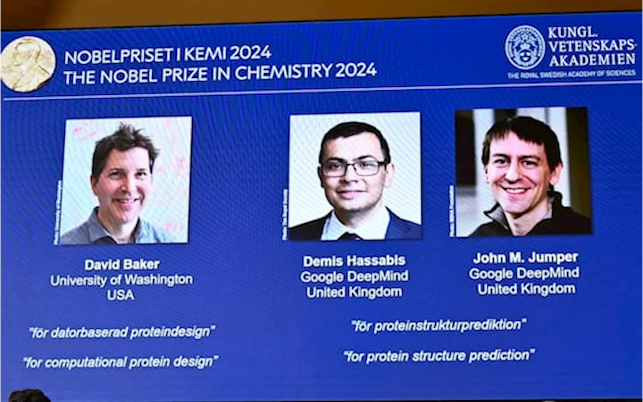 Davide Baker, Damis Hassabis e John M. Jumper vincono il Premio Nobel per la Chimica 2024