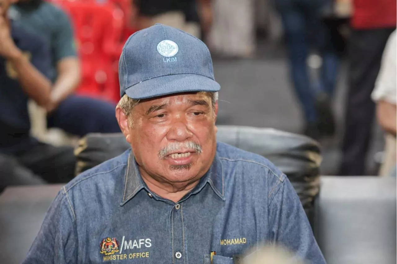 Govt considers ending chicken egg subsidy, says Mat Sabu